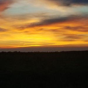 Meet your Posher, Chanelle